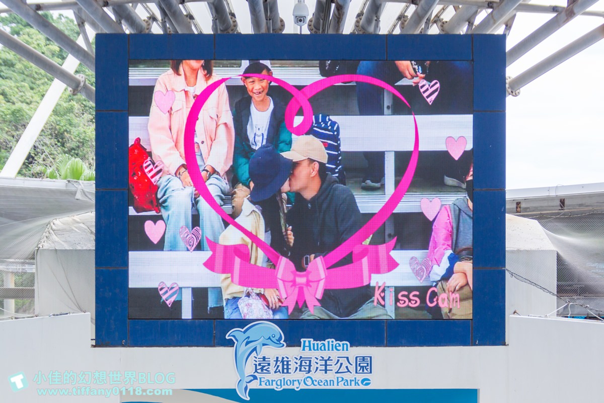 2020花蓮遠雄海洋公園全攻略/必看海豚海獅表演/八大園區+四大主題表演讓你一整天都玩到