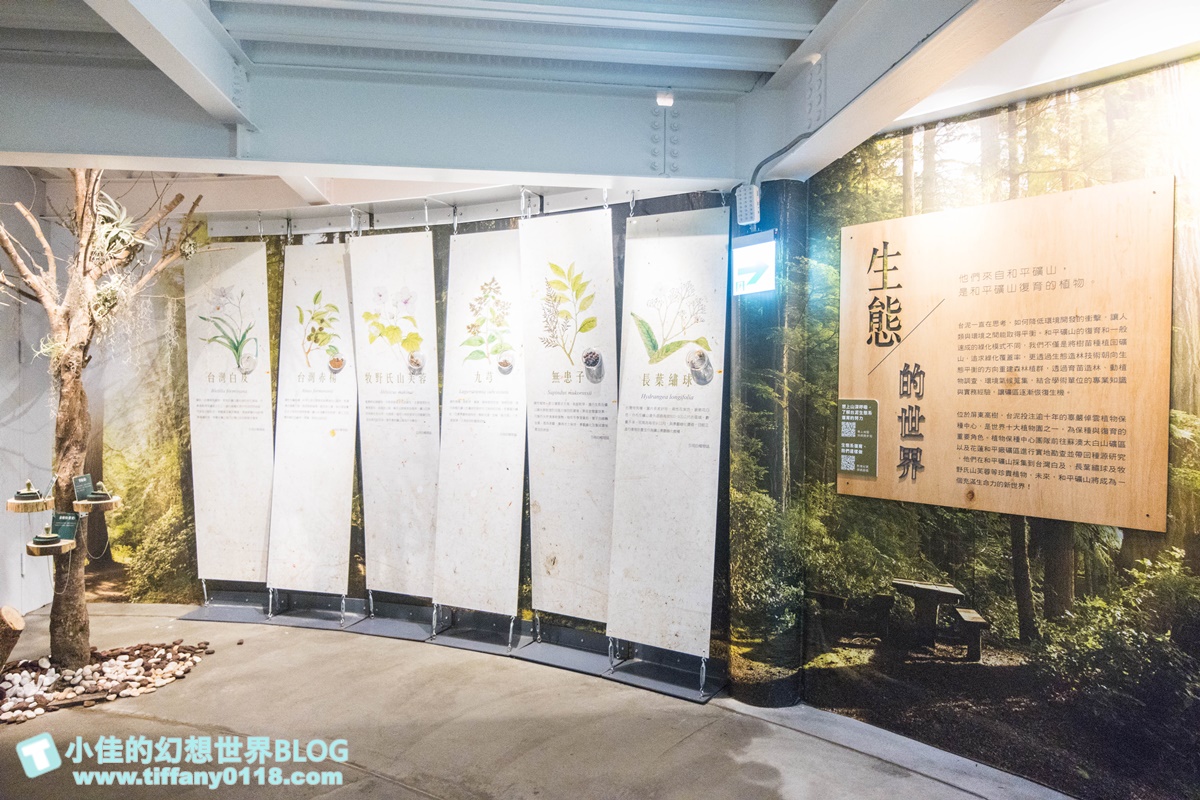 台泥DAKA園區/水舞秀+玻璃屋星巴克+複合式7-11/蘇花改第一站/花蓮網美景點推薦