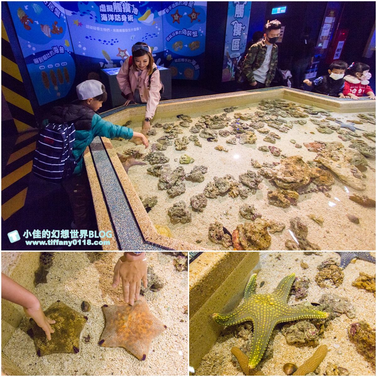 2020花蓮遠雄海洋公園全攻略/必看海豚海獅表演/八大園區+四大主題表演讓你一整天都玩到