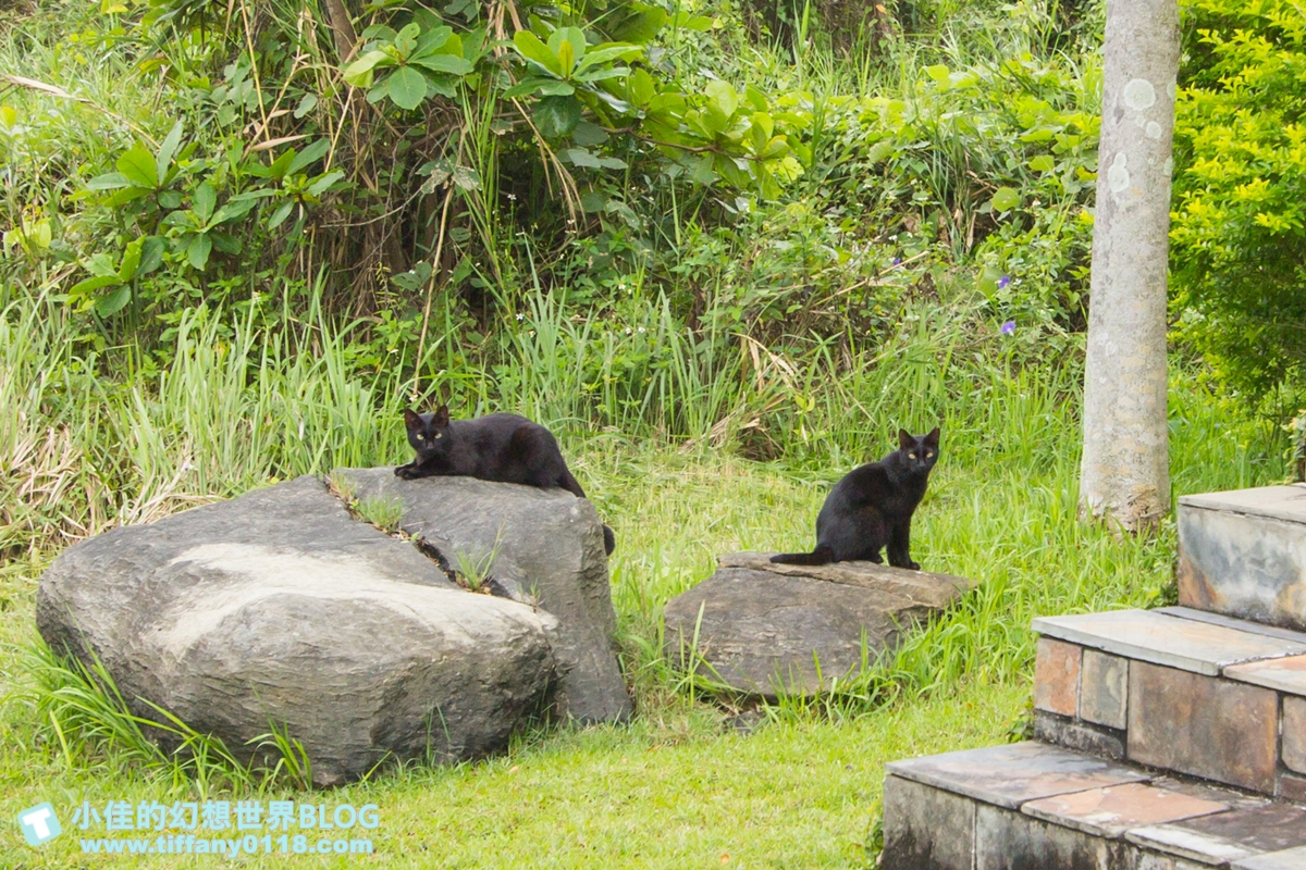 [花蓮住宿]海印民宿/地中海型建築+鄰太平洋的絕美花蓮民宿推薦/手工餅乾+手做早餐誠意滿滿