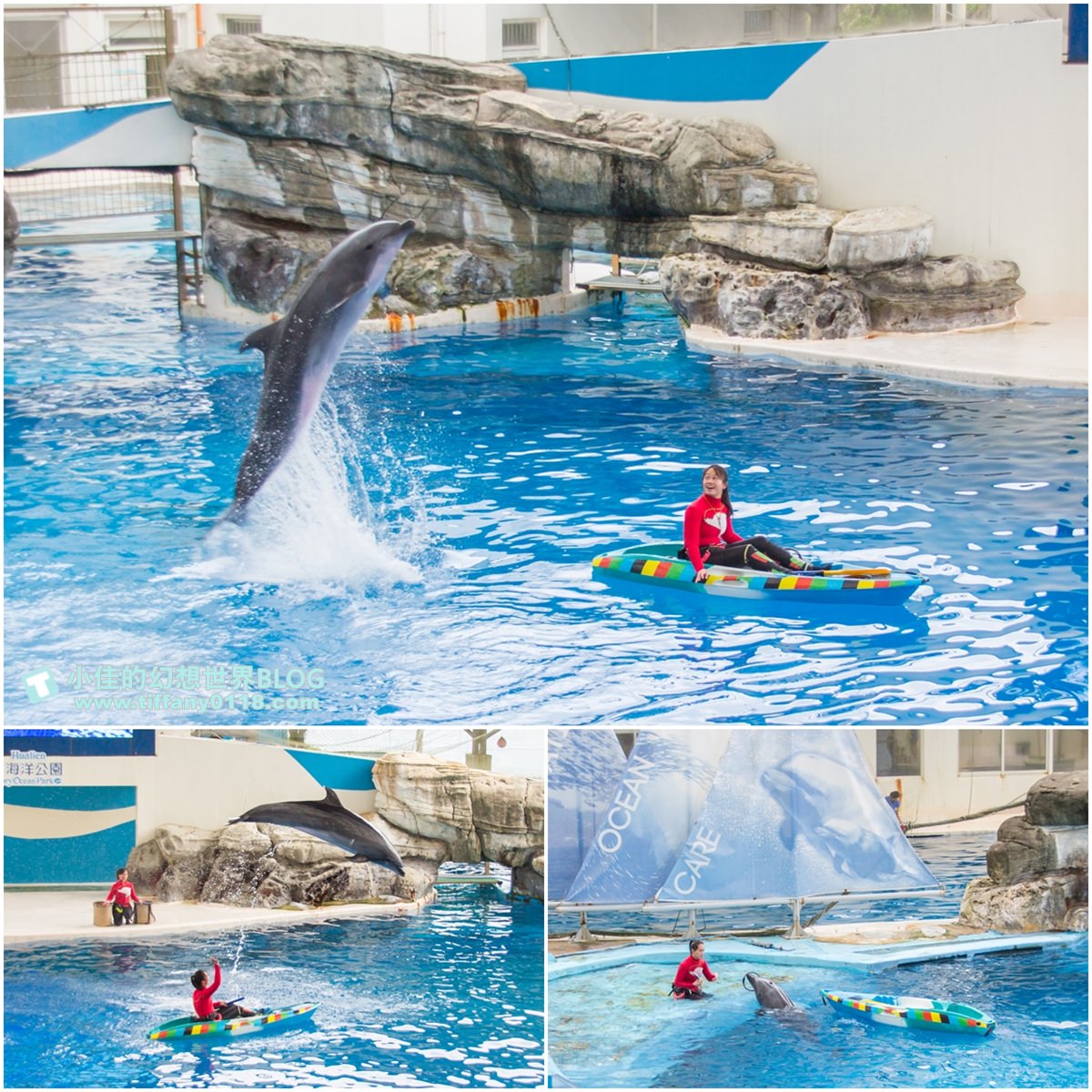 2020花蓮遠雄海洋公園全攻略/必看海豚海獅表演/八大園區+四大主題表演讓你一整天都玩到