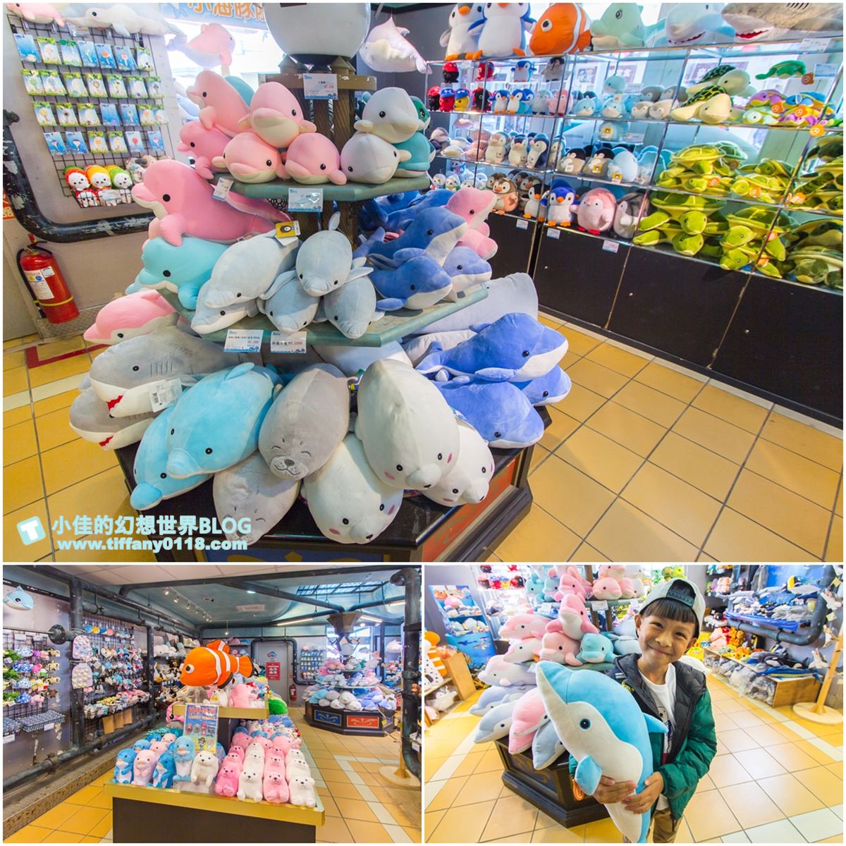 2020花蓮遠雄海洋公園全攻略/必看海豚海獅表演/八大園區+四大主題表演讓你一整天都玩到