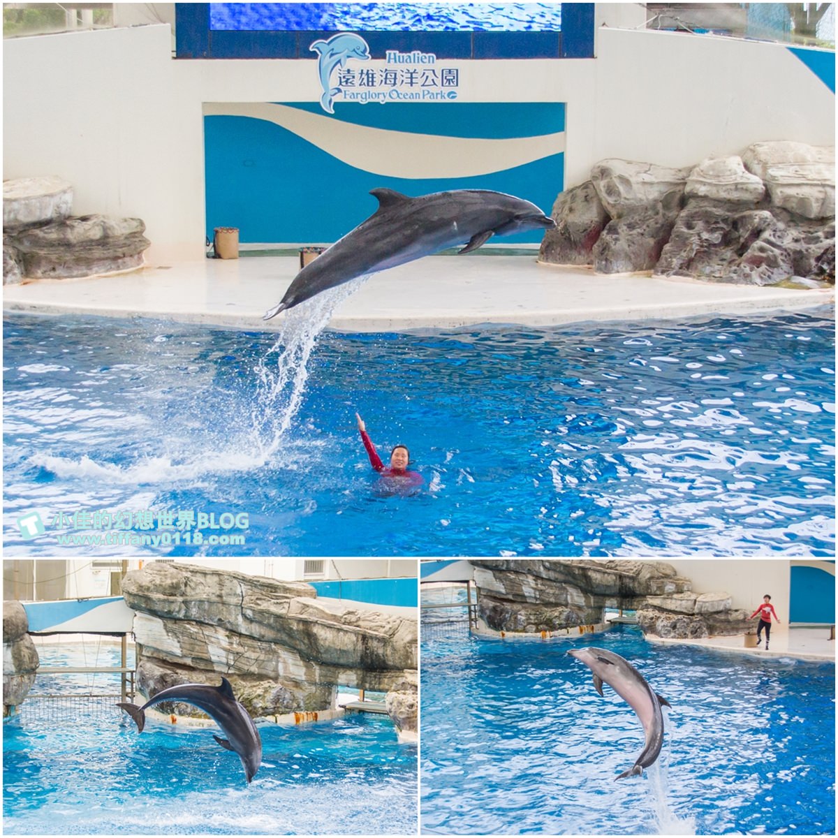 2020花蓮遠雄海洋公園全攻略/必看海豚海獅表演/八大園區+四大主題表演讓你一整天都玩到