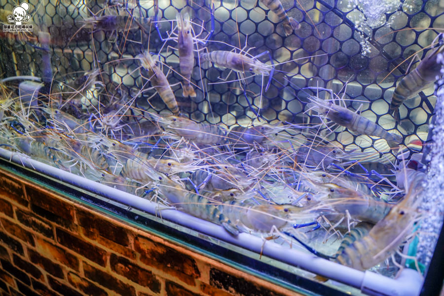 欣榀活蝦料理食堂 活蝦 泰國蝦 獨門 特色 好吃 推薦 高雄 必吃