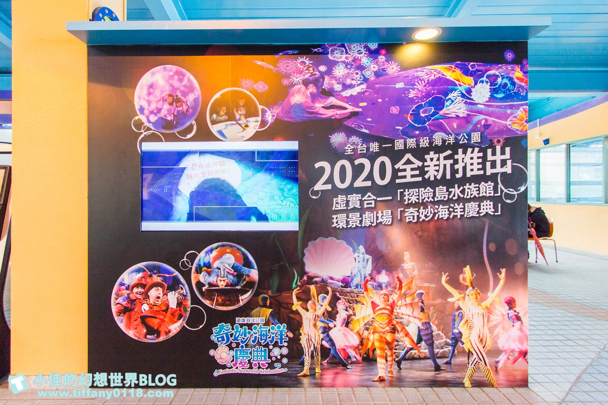 2020花蓮遠雄海洋公園全攻略/必看海豚海獅表演/八大園區+四大主題表演讓你一整天都玩到