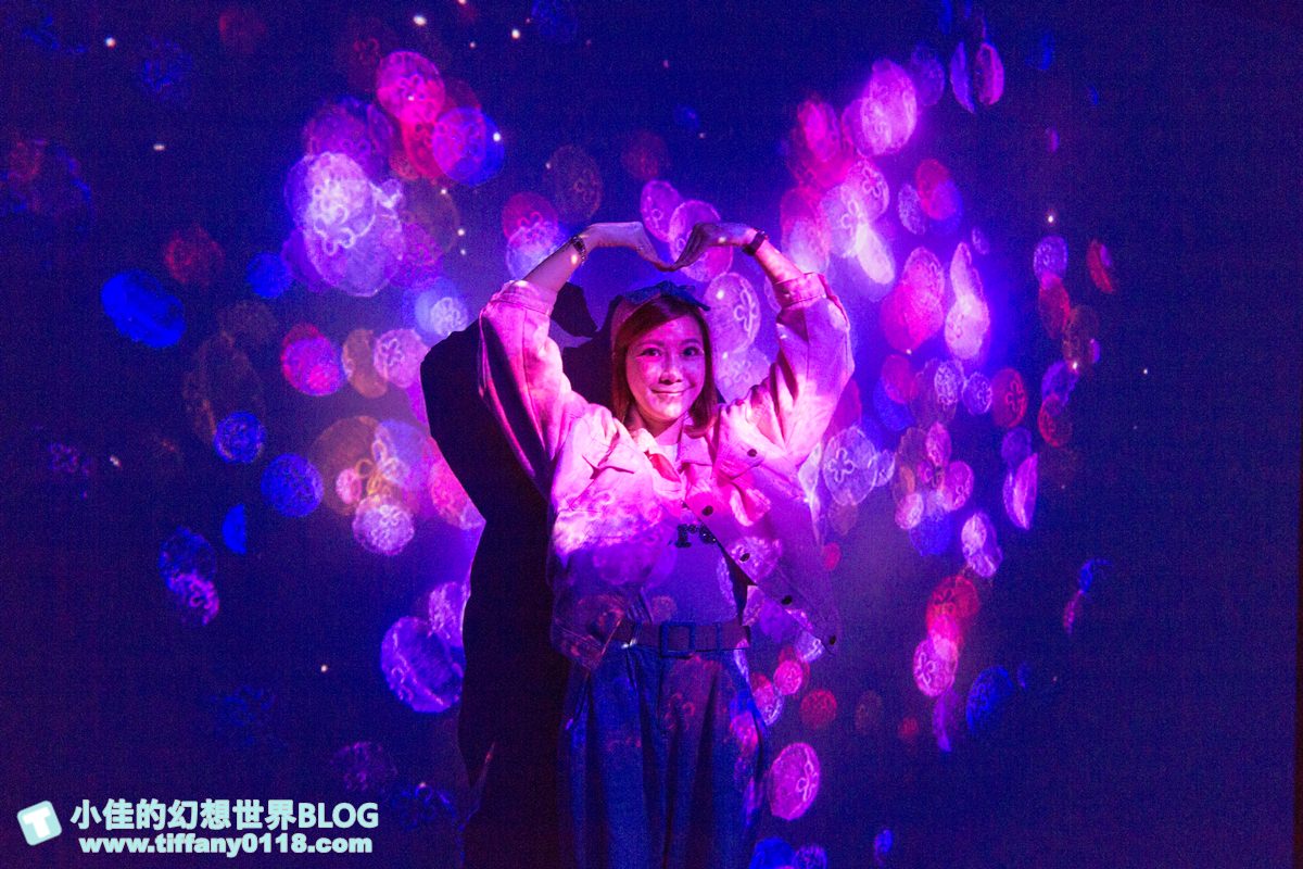 2020花蓮遠雄海洋公園全攻略/必看海豚海獅表演/八大園區+四大主題表演讓你一整天都玩到