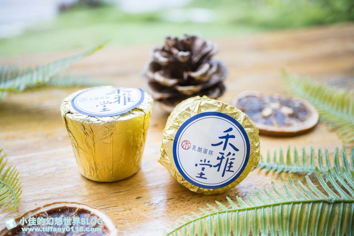 [台中美食]禾雅堂經典乳酪蛋糕/台中伴手禮推薦/重乳酪蛋糕超好吃