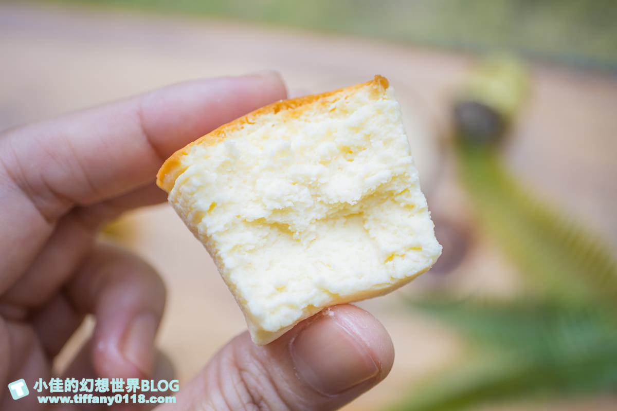 [台中美食]禾雅堂經典乳酪蛋糕/台中伴手禮推薦/重乳酪蛋糕超好吃