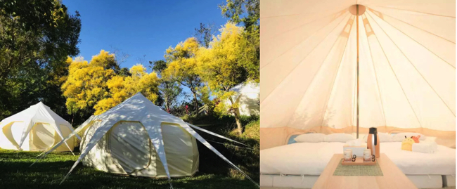 露營,山上,海邊,阿里山露營,苗栗露營,願森林,山美學,皇后鎮,露營車,帳篷,免裝備露營,營地,klook,kkday