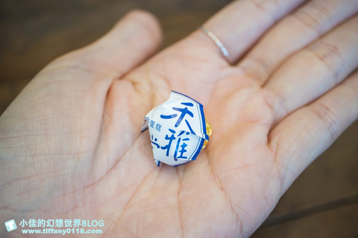 [台中美食]禾雅堂經典乳酪蛋糕/台中伴手禮推薦/重乳酪蛋糕超好吃