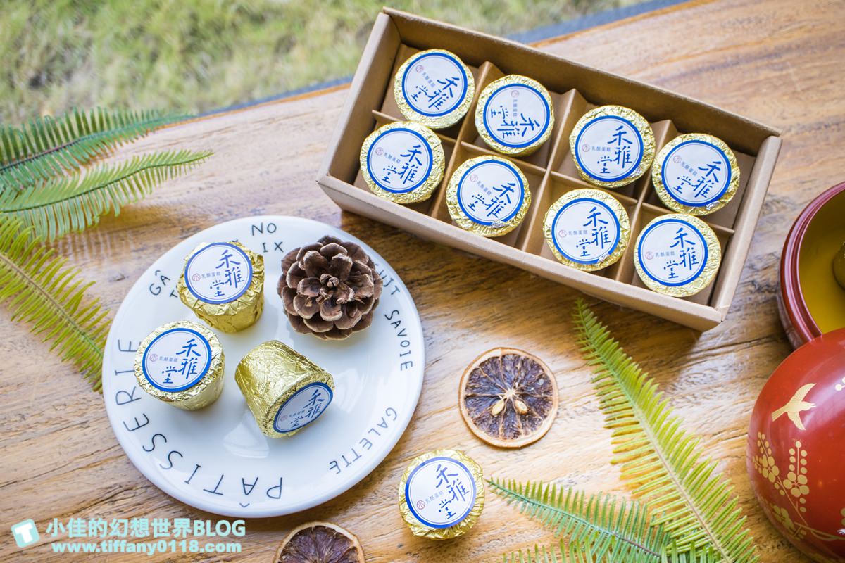 [台中美食]禾雅堂經典乳酪蛋糕/台中伴手禮推薦/重乳酪蛋糕超好吃