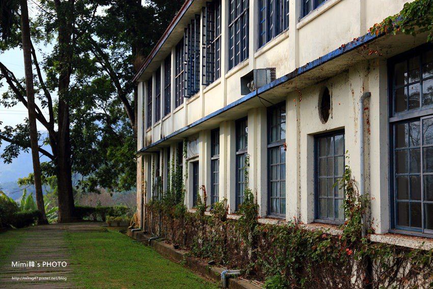 日月老茶廠4.JPG