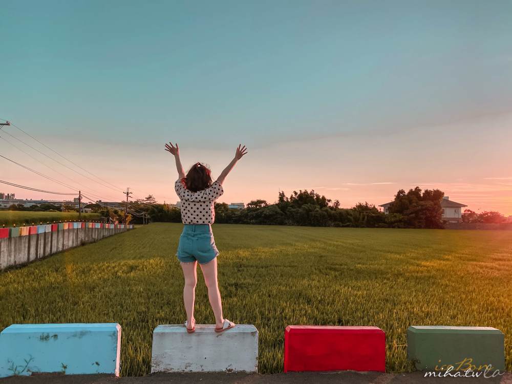 青埔景點,桃園景點,彩虹稻田,彩虹景點