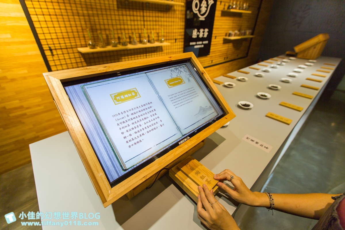 [新北景點]坪林茶業博物館/親子共遊設施+互動體驗方式認識茶葉/超美戶外江南庭院隨你拍