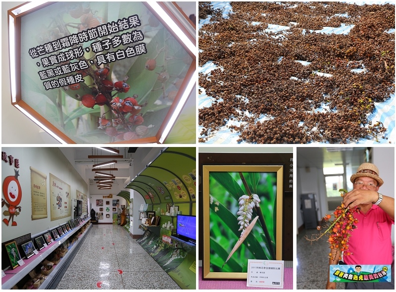 nEO_IMG_13.jpg nEO_IMG_13.jpg