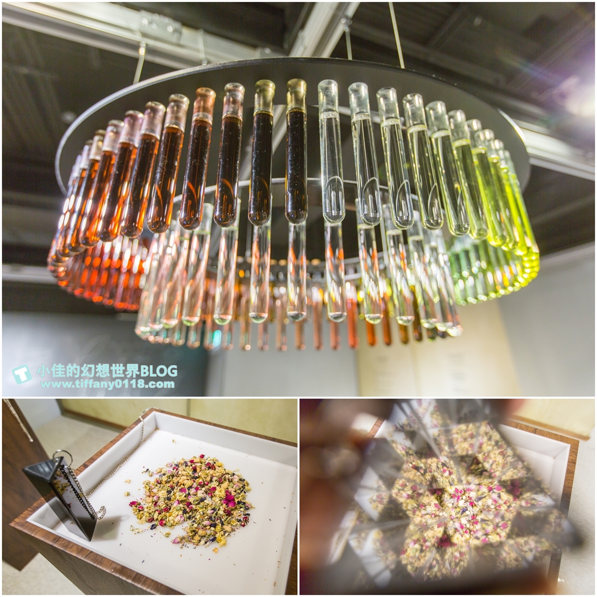 [新北景點]坪林茶業博物館/親子共遊設施+互動體驗方式認識茶葉/超美戶外江南庭院隨你拍