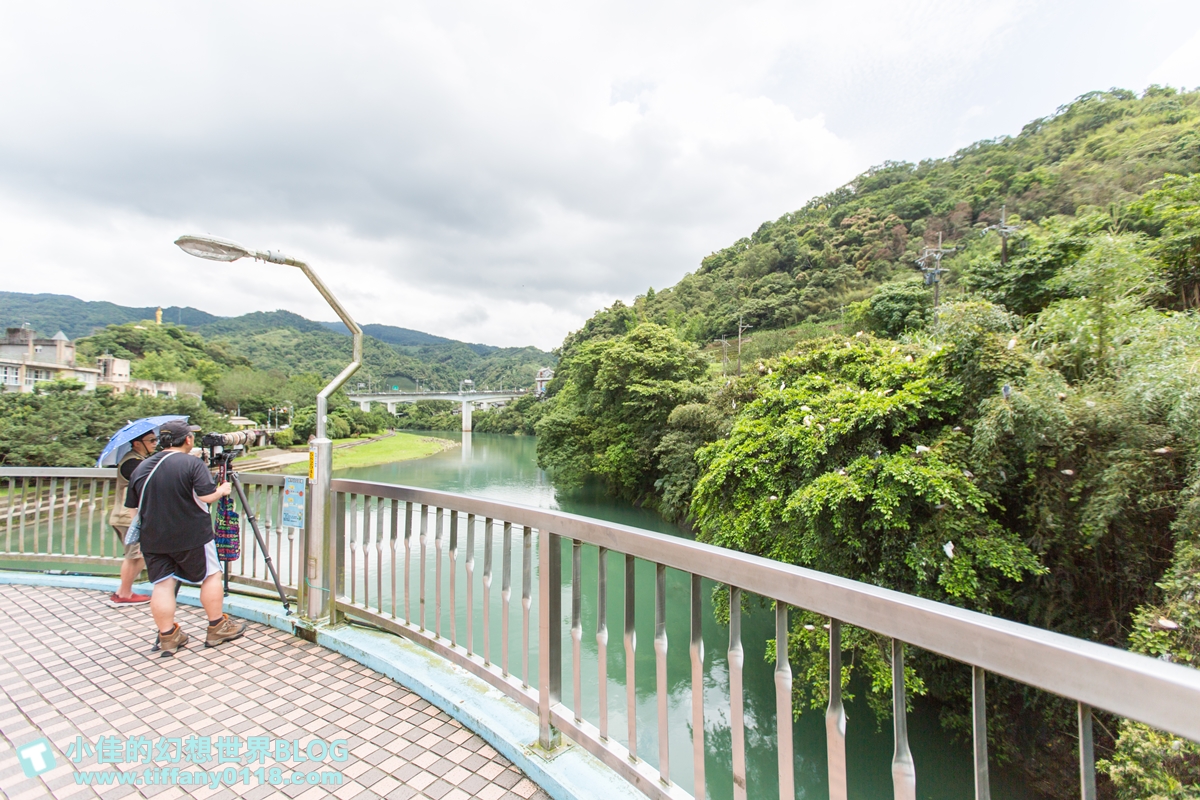 [新北景點]坪林茶業博物館/親子共遊設施+互動體驗方式認識茶葉/超美戶外江南庭院隨你拍