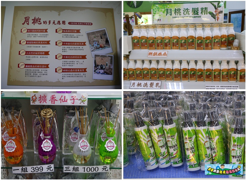 nEO_IMG_15.jpg nEO_IMG_15.jpg