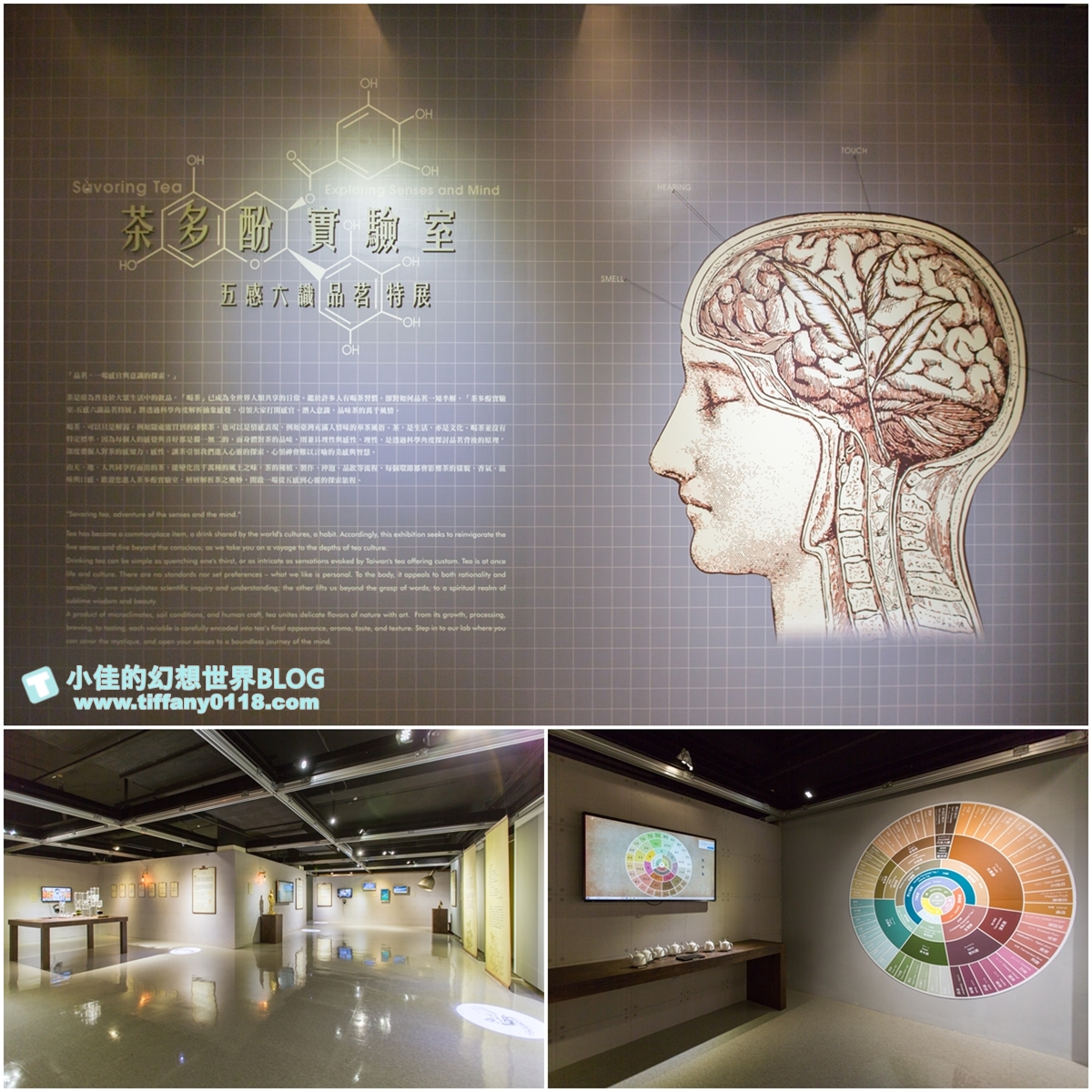 [新北景點]坪林茶業博物館/親子共遊設施+互動體驗方式認識茶葉/超美戶外江南庭院隨你拍