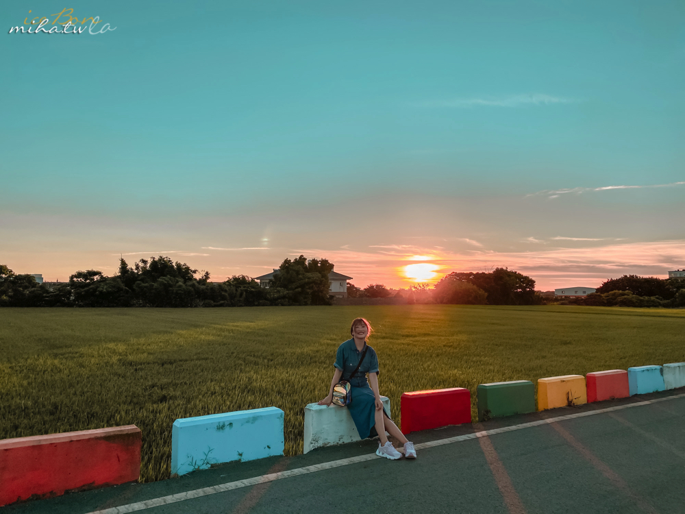 青埔景點,桃園景點,彩虹稻田,彩虹景點
