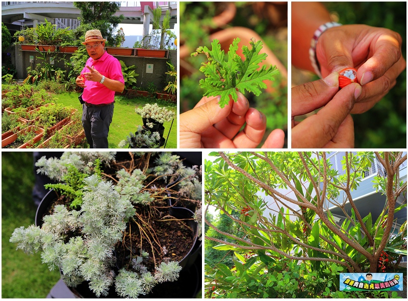 nEO_IMG_12.jpg nEO_IMG_12.jpg