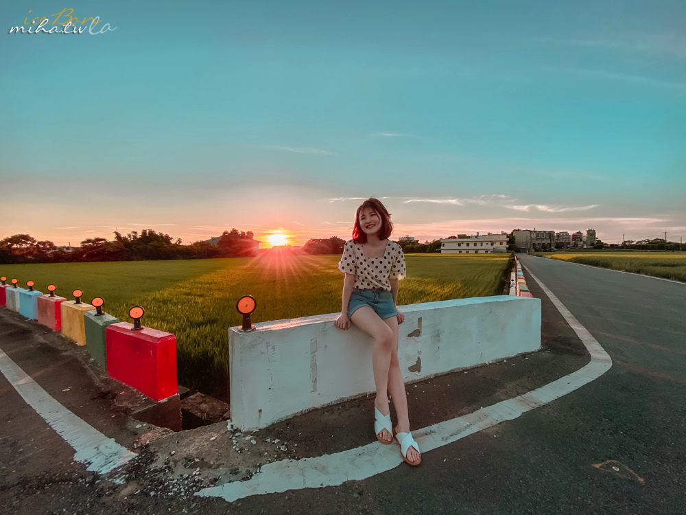 青埔景點,桃園景點,彩虹稻田,彩虹景點