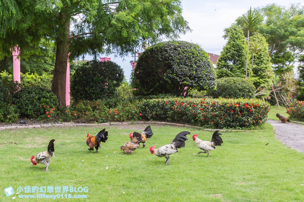 [宜蘭民宿推薦‧冬山]蓮春園花間雅舍/旋轉木馬+電動車+荷花池/近冬山河童玩節與羅東夜市