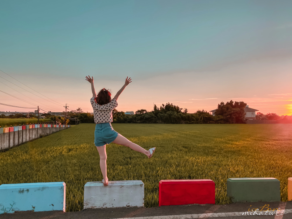 青埔景點,桃園景點,彩虹稻田,彩虹景點