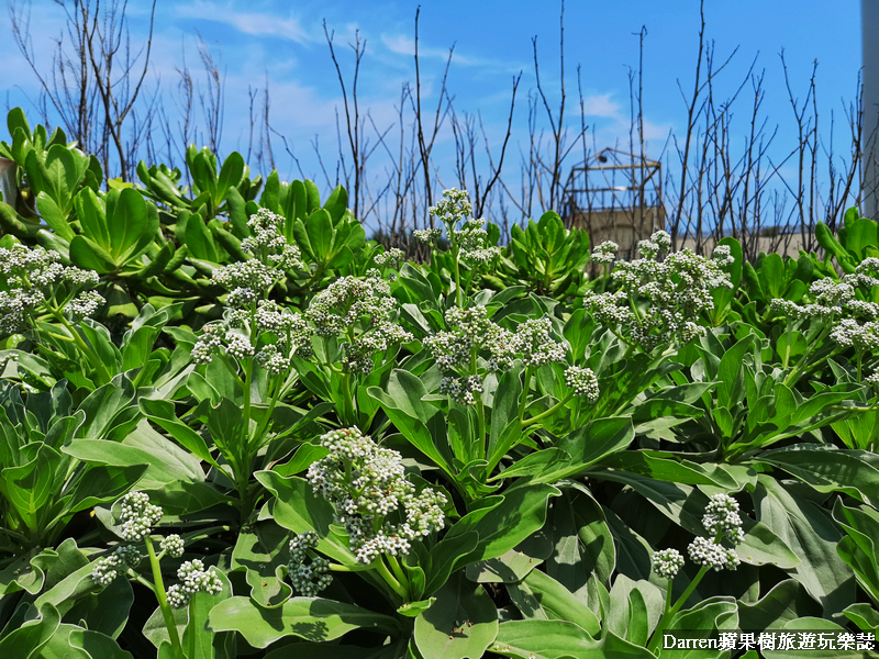 桃園一日遊/親子DIY/桃園農博基地探索生活/老街溪河川教育中心/郭元益糕餅博物館/桃園環教認證場域/桃園環境教育場所