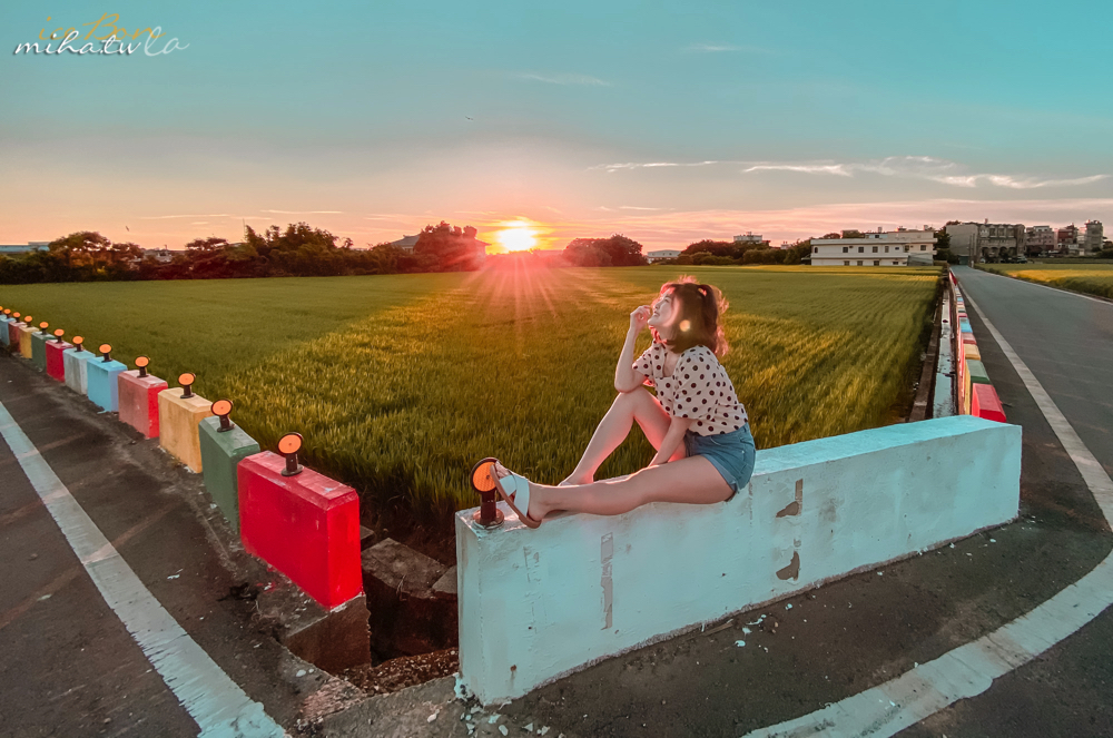 青埔景點,桃園景點,彩虹稻田,彩虹景點