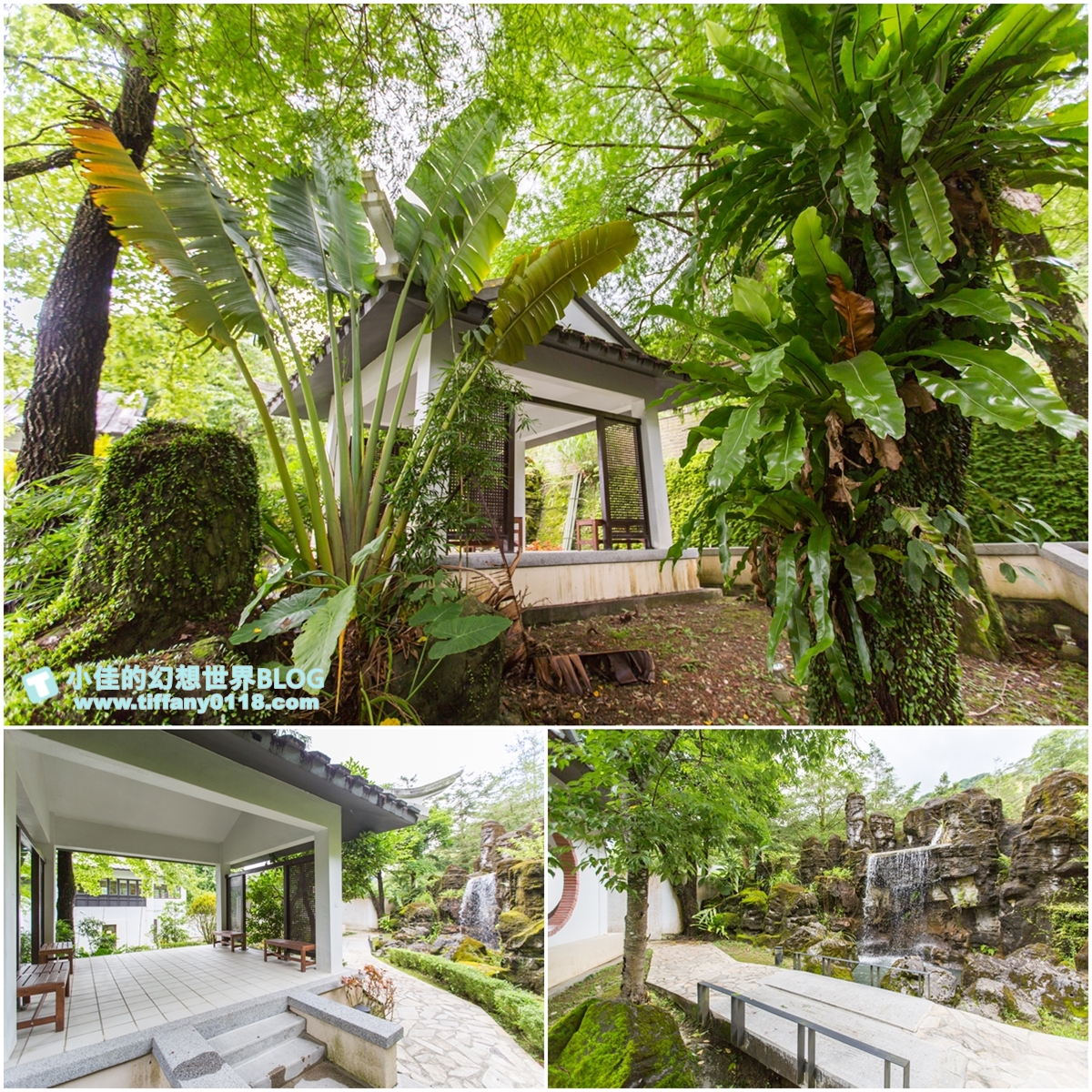 [新北景點]坪林茶業博物館/親子共遊設施+互動體驗方式認識茶葉/超美戶外江南庭院隨你拍