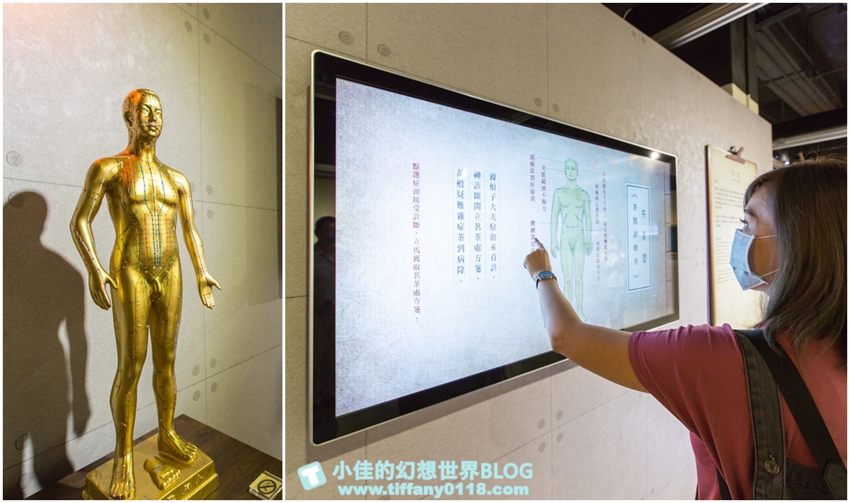 [新北景點]坪林茶業博物館/親子共遊設施+互動體驗方式認識茶葉/超美戶外江南庭院隨你拍