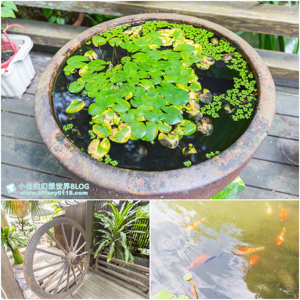[宜蘭民宿推薦‧冬山]蓮春園花間雅舍/旋轉木馬+電動車+荷花池/近冬山河童玩節與羅東夜市