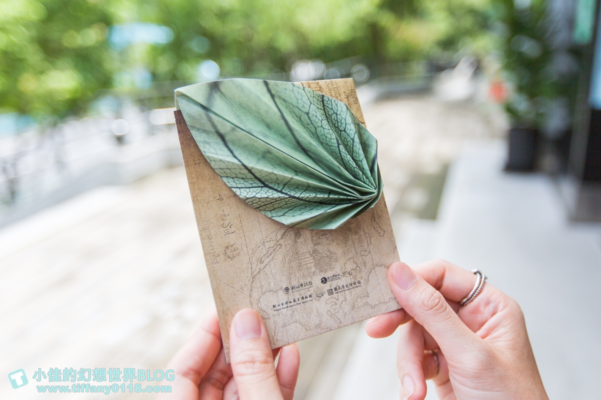 [新北景點]坪林茶業博物館/親子共遊設施+互動體驗方式認識茶葉/超美戶外江南庭院隨你拍