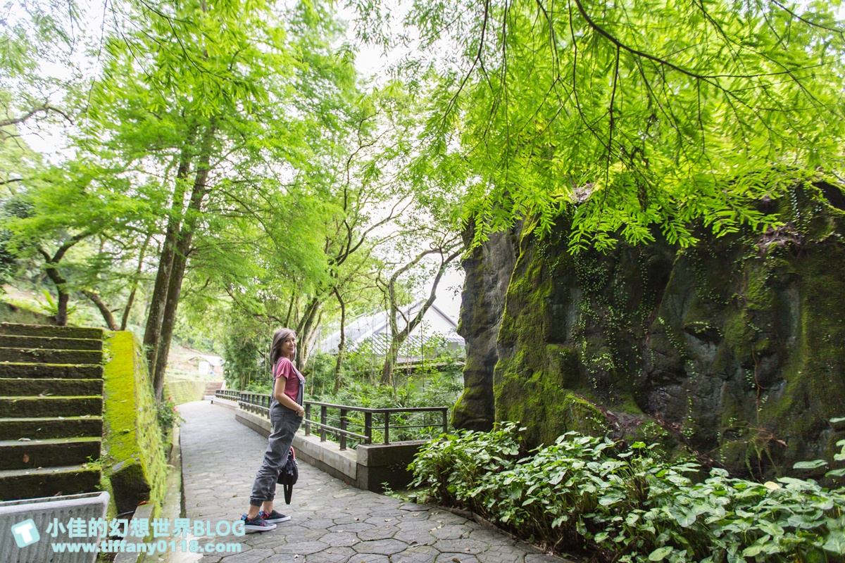 [新北景點]坪林茶業博物館/親子共遊設施+互動體驗方式認識茶葉/超美戶外江南庭院隨你拍
