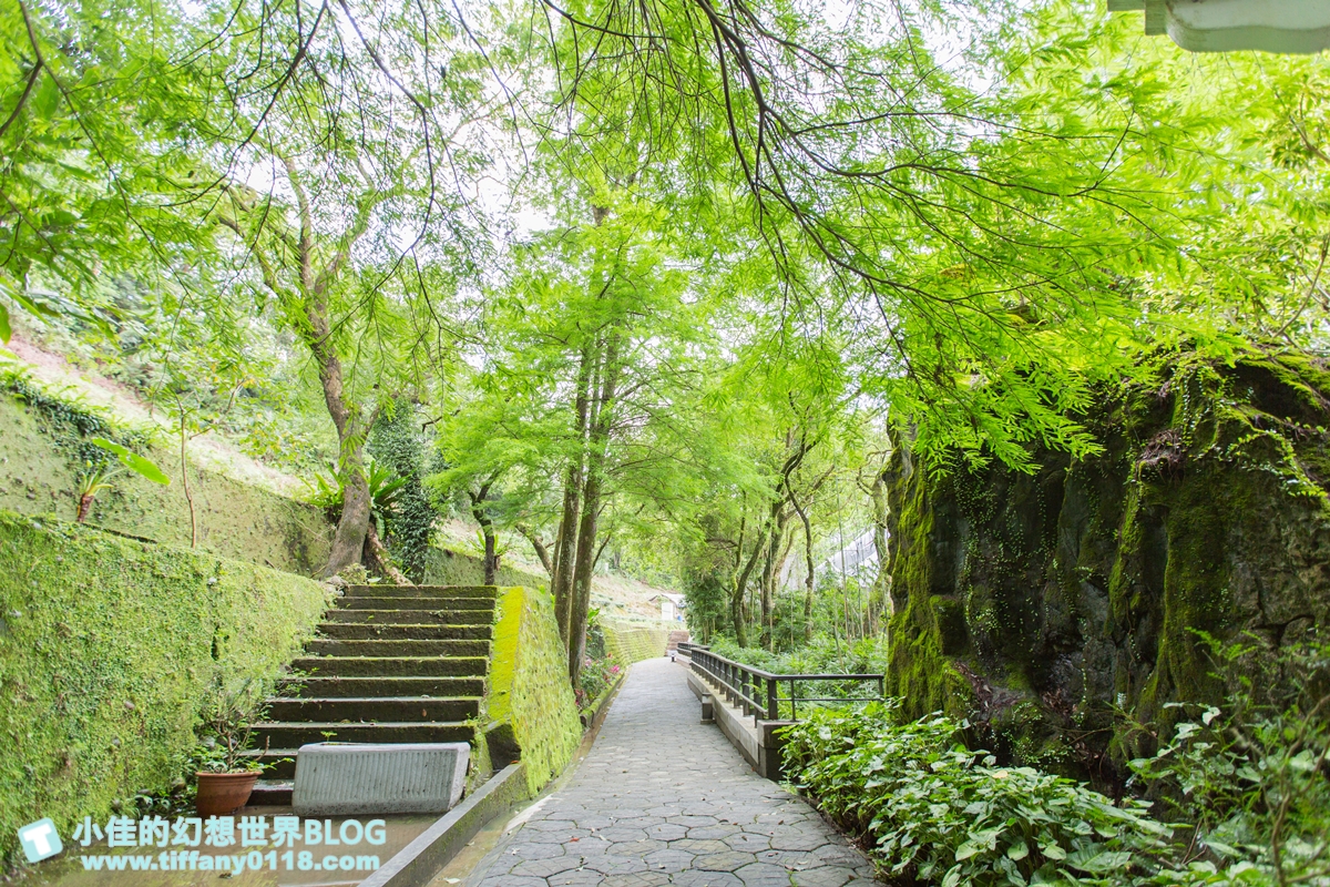 [新北景點]坪林茶業博物館/親子共遊設施+互動體驗方式認識茶葉/超美戶外江南庭院隨你拍