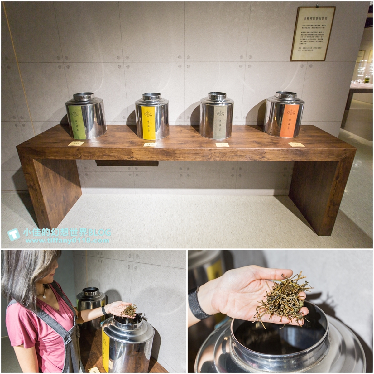 [新北景點]坪林茶業博物館/親子共遊設施+互動體驗方式認識茶葉/超美戶外江南庭院隨你拍