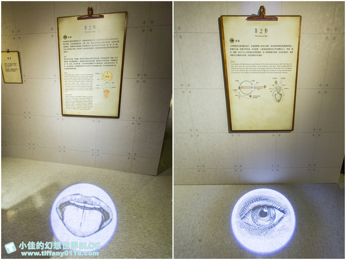 [新北景點]坪林茶業博物館/親子共遊設施+互動體驗方式認識茶葉/超美戶外江南庭院隨你拍