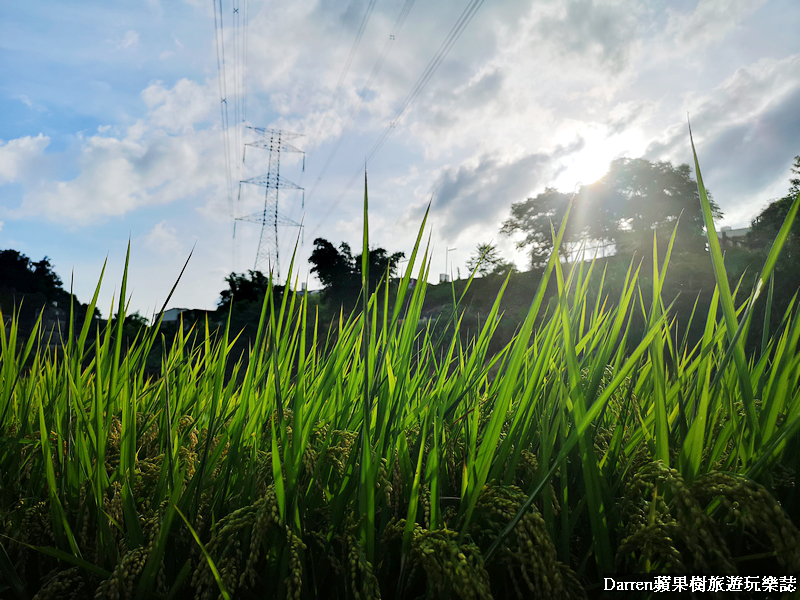 桃園兩天一夜行程2020/台灣好行桃園503/台灣好行石門水庫線/石門水庫大眾運輸/桃園親子景點/桃園ig景點/龍潭景點