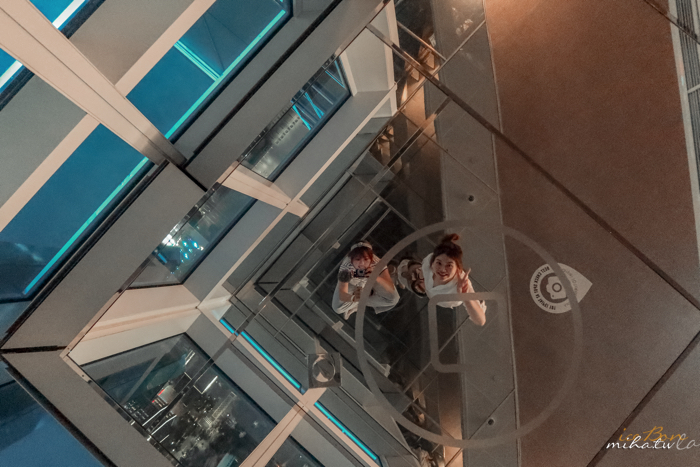 台北101,101觀景台,TAIPEI 101,Skyline 460,風阻尼器,防疫國旅,台北景點,台北好玩,台北必去,bar88