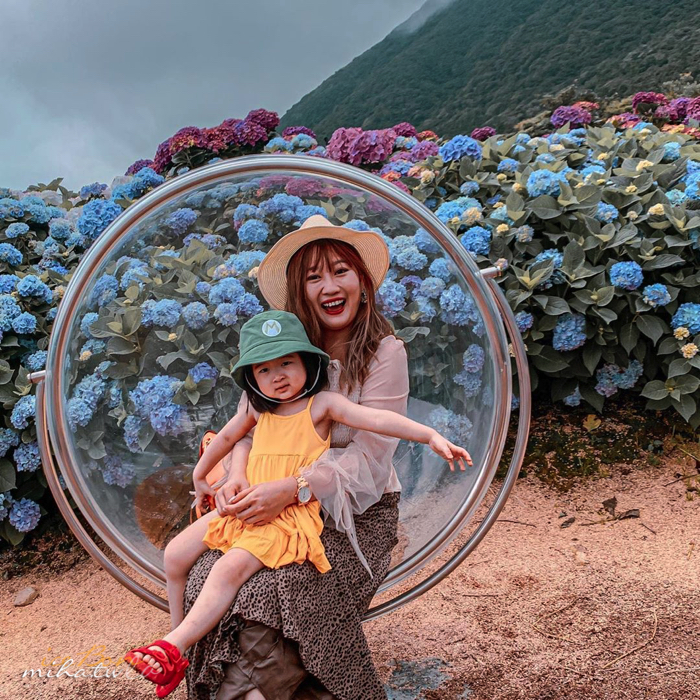 陽明山,美國度假村,高家繡球花,防疫國旅,台北景點,台北住宿,包棟