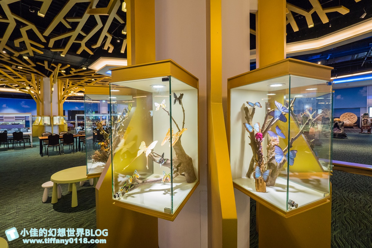 2020宜蘭綺麗童玩派對/一票玩到底/戶外氣墊水上設施+綺麗寶石博物館+蝴蝶藝術館+馬賽克DIY任妳玩超划算