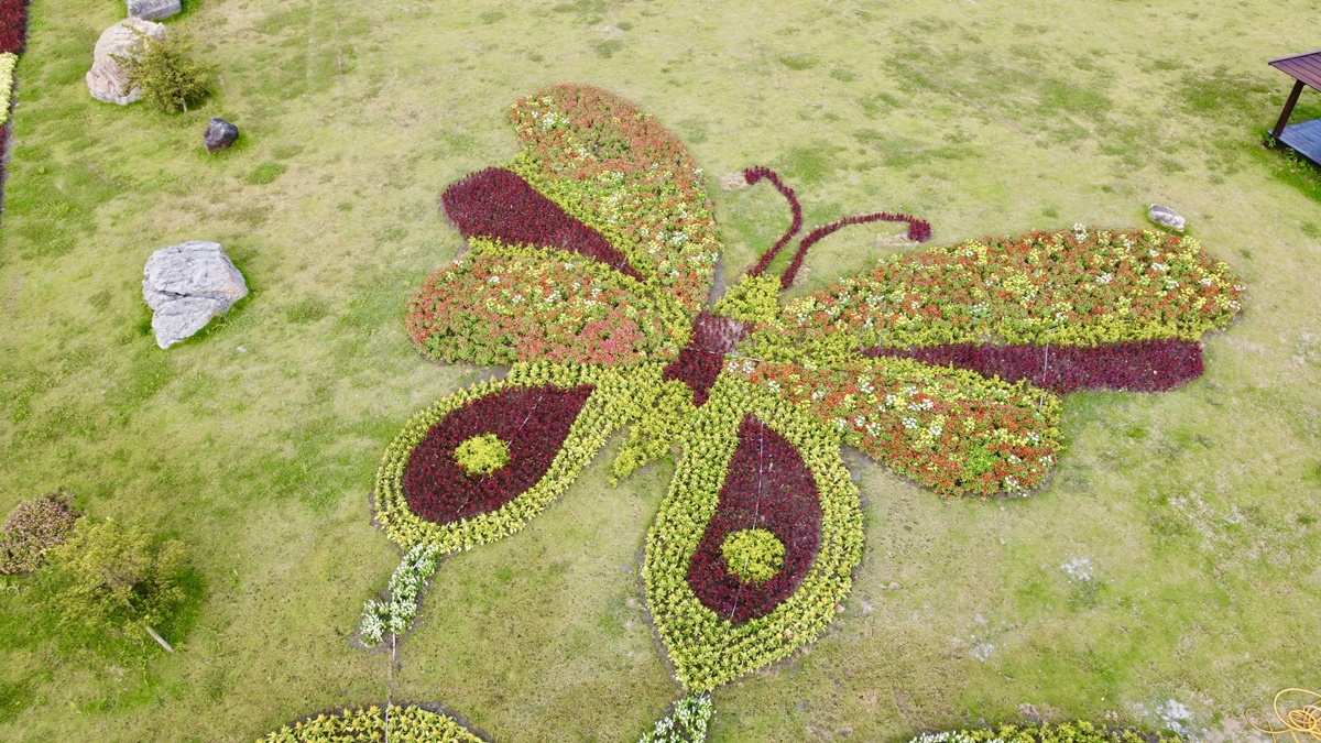 2020宜蘭綺麗童玩派對/一票玩到底/戶外氣墊水上設施+綺麗寶石博物館+蝴蝶藝術館+馬賽克DIY任妳玩超划算