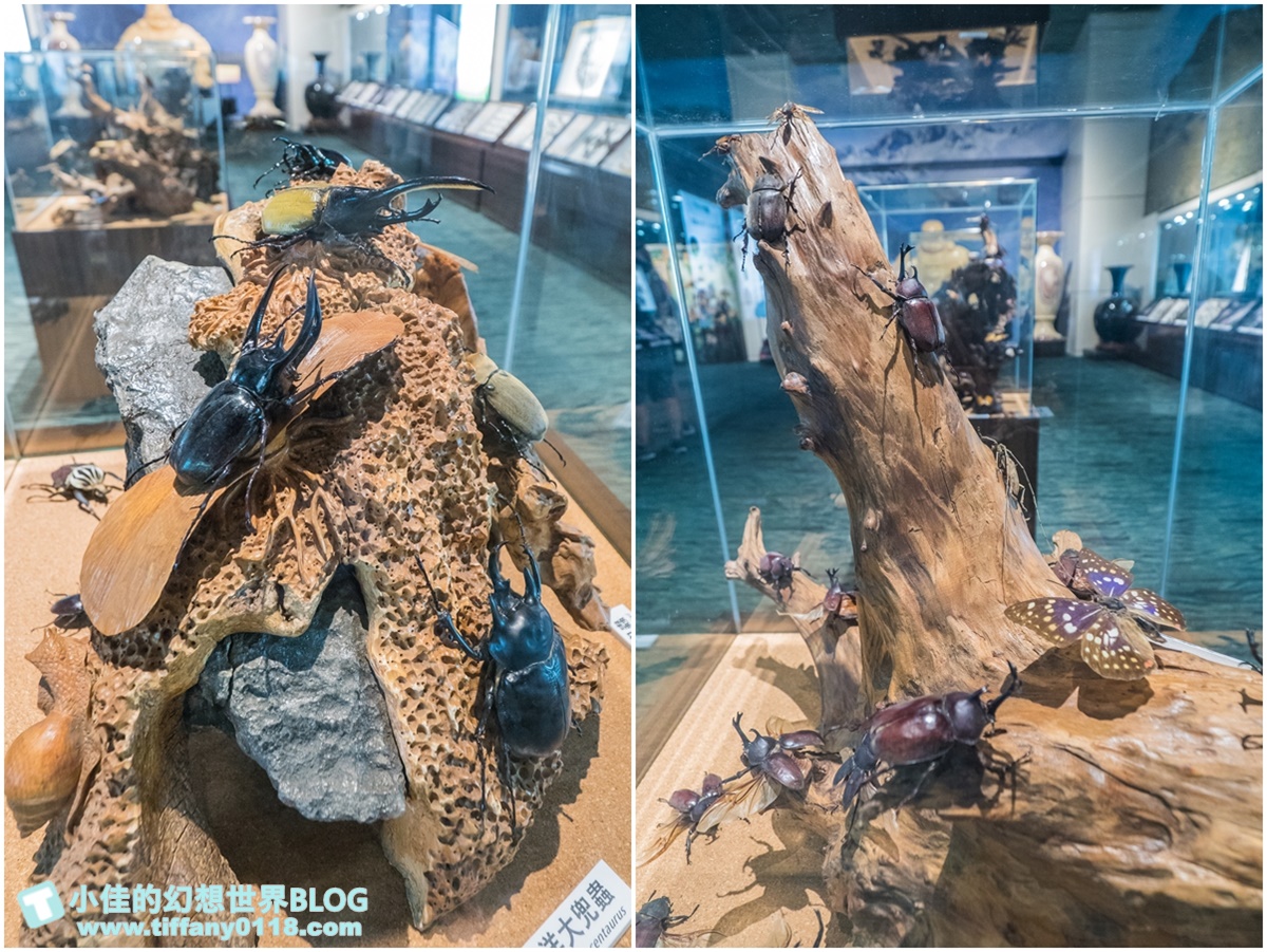 2020宜蘭綺麗童玩派對/一票玩到底/戶外氣墊水上設施+綺麗寶石博物館+蝴蝶藝術館+馬賽克DIY任妳玩超划算