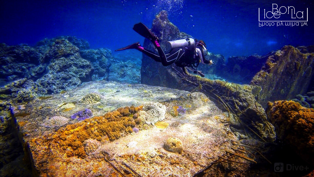 台灣潛水推薦,潛水景點,綠島潛水,小琉球潛水,蘭嶼潛水,墾丁潛水,潛立方