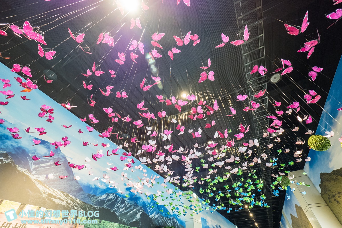 2020宜蘭綺麗童玩派對/一票玩到底/戶外氣墊水上設施+綺麗寶石博物館+蝴蝶藝術館+馬賽克DIY任妳玩超划算