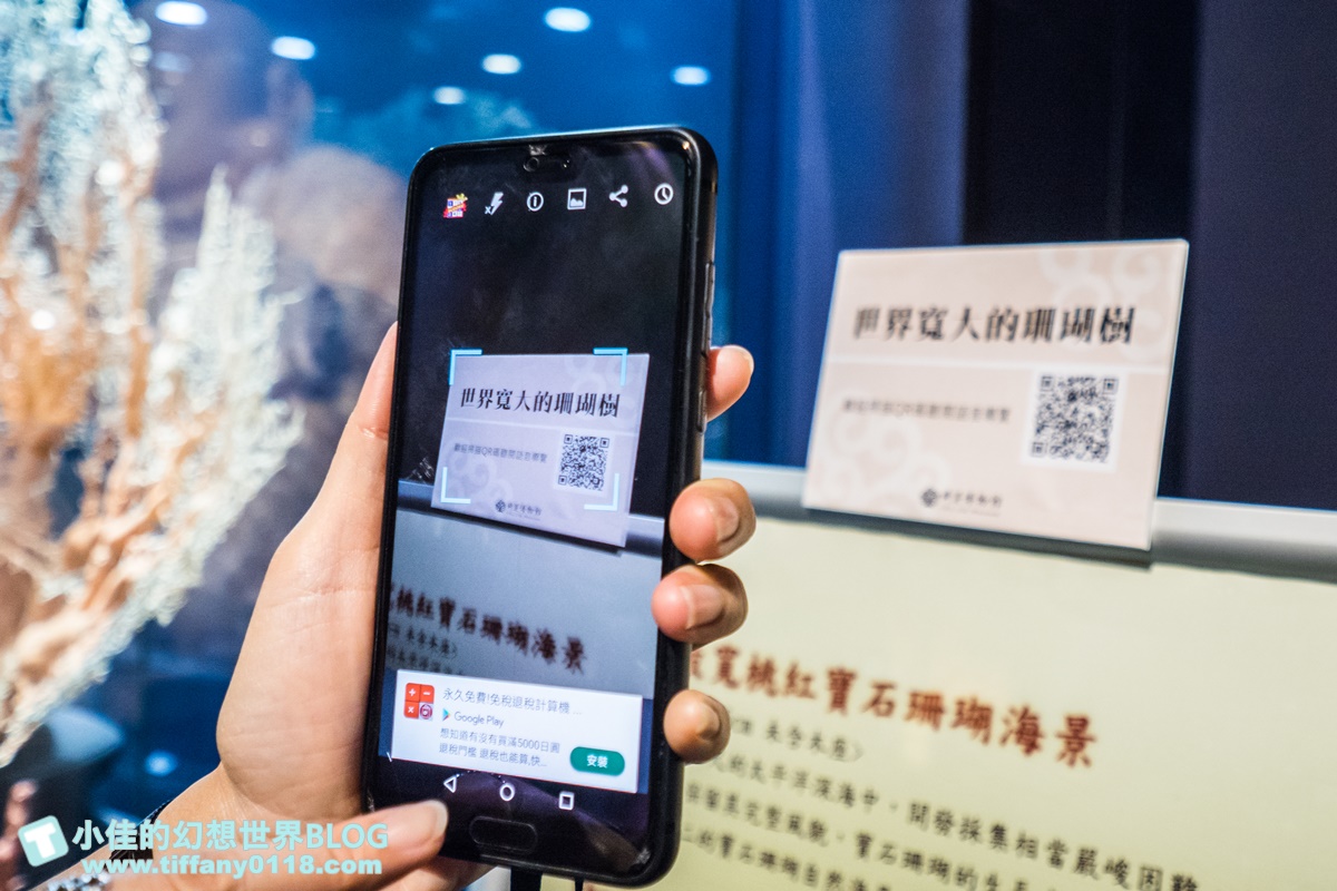 2020宜蘭綺麗童玩派對/一票玩到底/戶外氣墊水上設施+綺麗寶石博物館+蝴蝶藝術館+馬賽克DIY任妳玩超划算