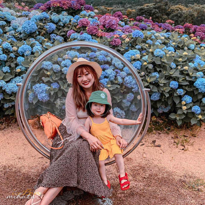 陽明山,美國度假村,高家繡球花,防疫國旅,台北景點,台北住宿,包棟