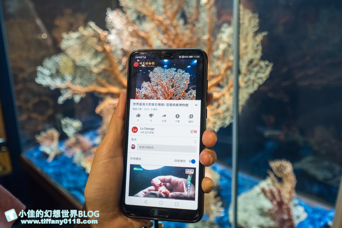 2020宜蘭綺麗童玩派對/一票玩到底/戶外氣墊水上設施+綺麗寶石博物館+蝴蝶藝術館+馬賽克DIY任妳玩超划算