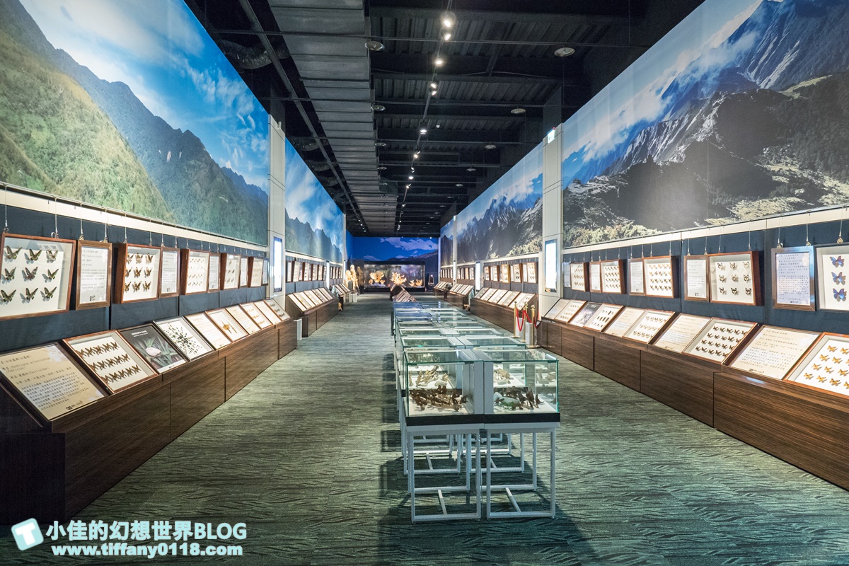 2020宜蘭綺麗童玩派對/一票玩到底/戶外氣墊水上設施+綺麗寶石博物館+蝴蝶藝術館+馬賽克DIY任妳玩超划算